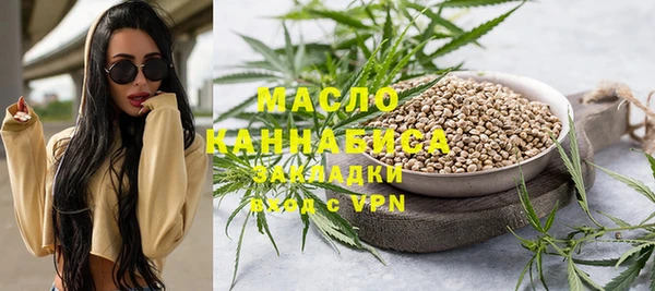 индика Магас