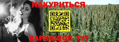 прущая мука Гатчина