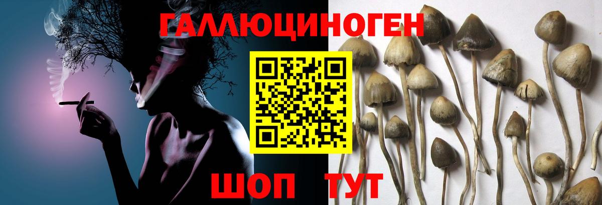 Галлюциногенные грибы MAGIC MUSHROOMS Нефтекумск